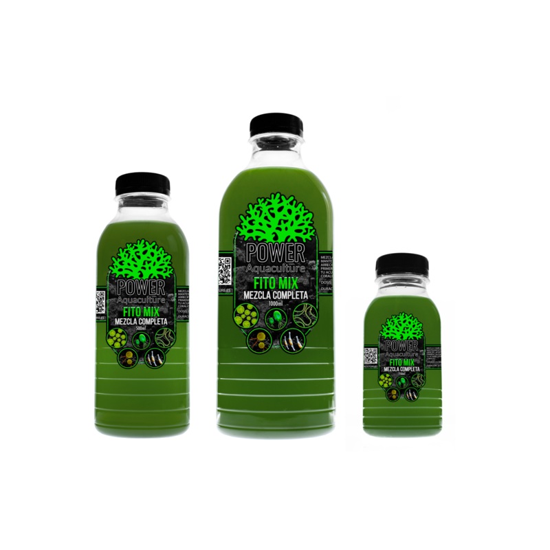 Phytoplancton