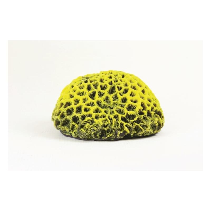 Pineapple Yellow/Purple Favites sp. 17 x 16 x 9cm Natureform Coral - 9784