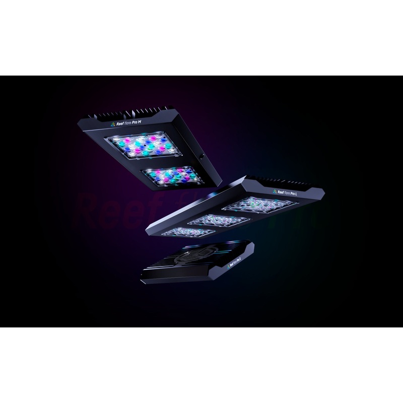 Reef Flare Pro