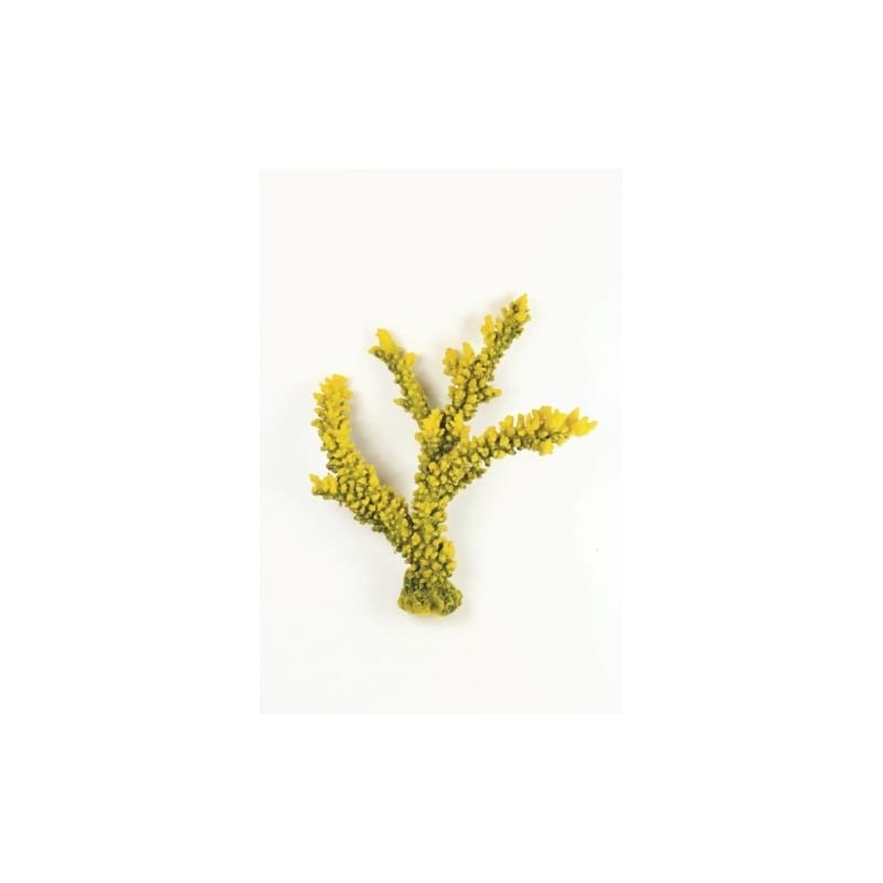 Staghorn Branch Y/G Yellow/Green Acropora sp. 35 x Natureform Coral - 9786