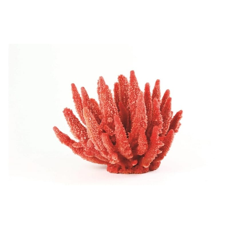 Staghorn Red/Brown Acropora sp. 22 x 19 x 17cm Natureform Coral - 9787