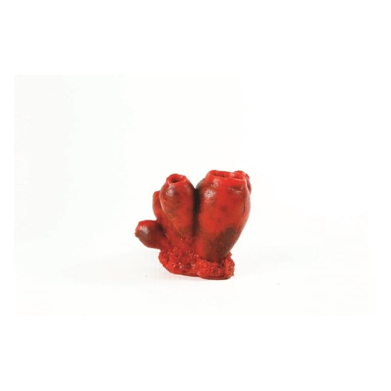 Bell Tunicate Red Clavelina sp. 9 x 8 x 6.5cm Natureform Coral - 9756