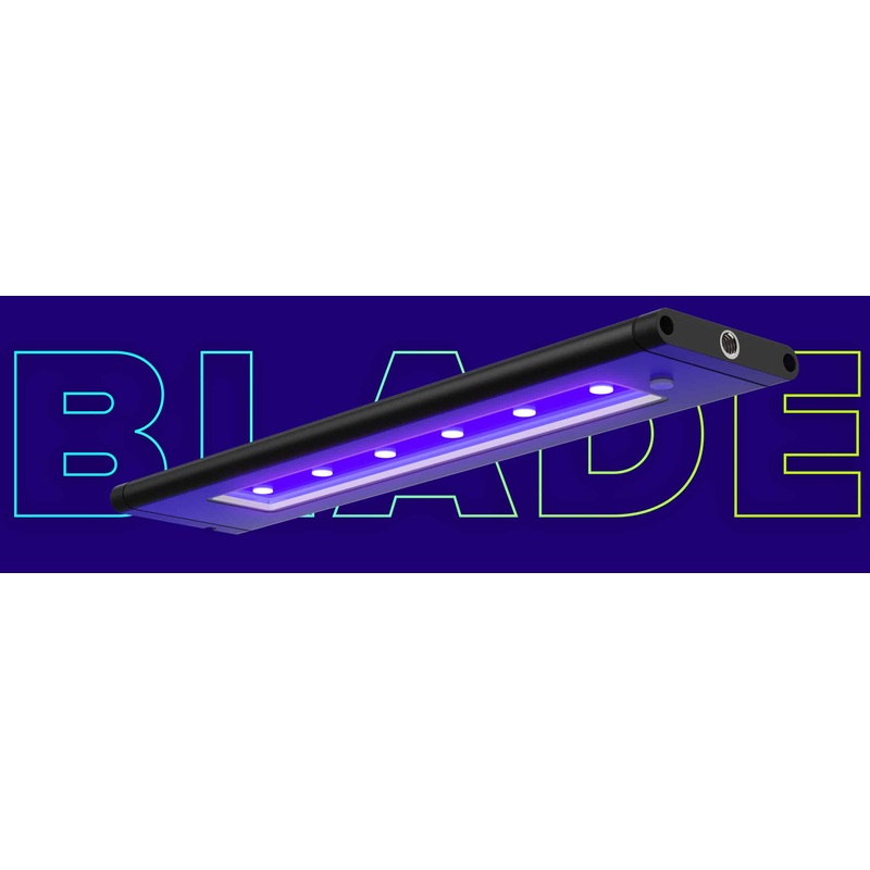 Blade
