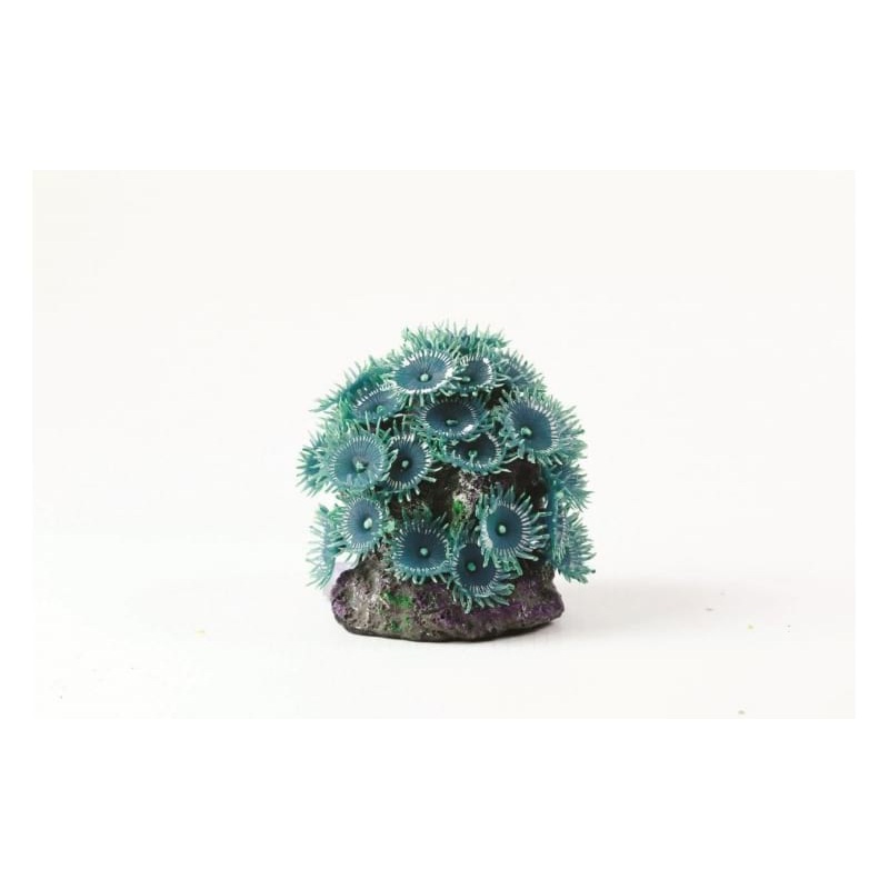 Button Polyp Colony Blu Blue Palythoa sp. 7.5 x 7 x 8c Natureform Coral - 9753