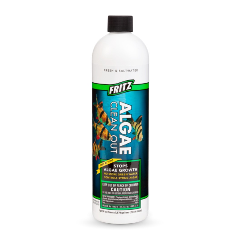 Fritz Algae Clean Out