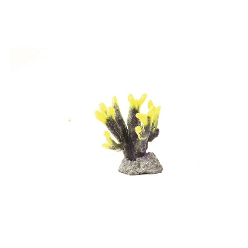 Horn Yellow/Purple Hydnophora sp. 7.5 x 7 x 8cm Natureform Coral 9736