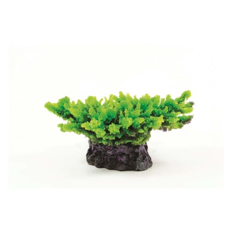 Natureform Coral Staghorn Green Acropora sp. 14 x 11.5 x 6.5cm - 9759