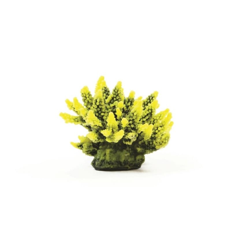 Staghorn Yellow/Green Acropora sp. 11.5 x 10 x 9cm Natureform Coral - 9744