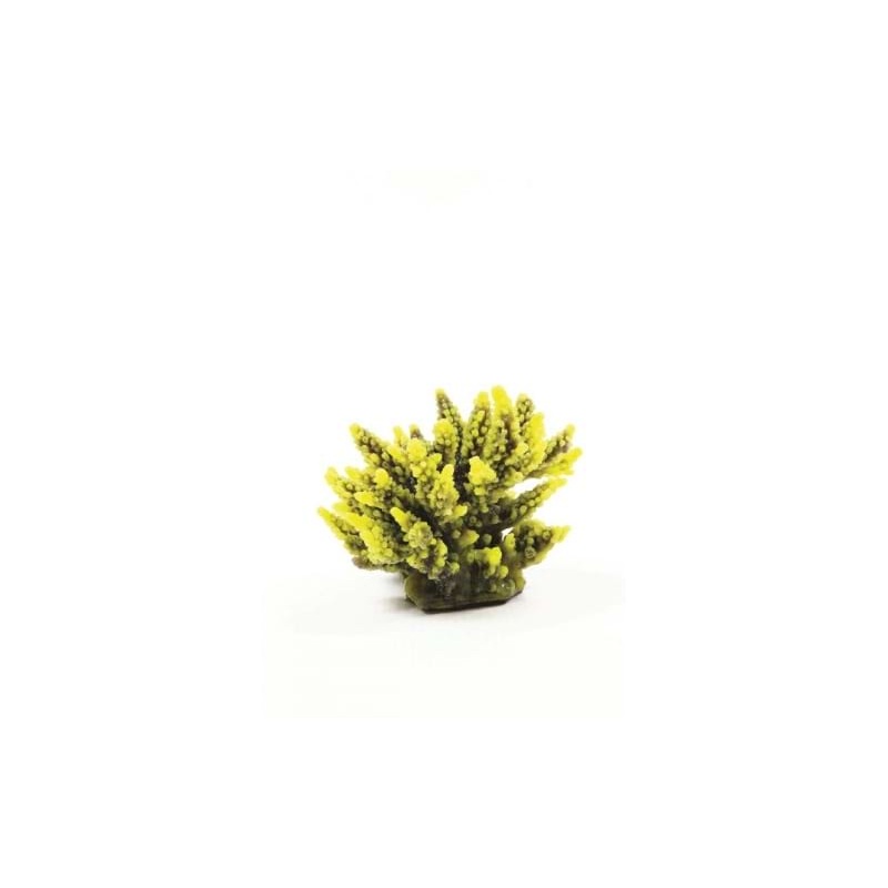 Staghorn Yellow/Purple Acropora sp. 11.5 x 10 x 9cm Natureform Coral - 9743
