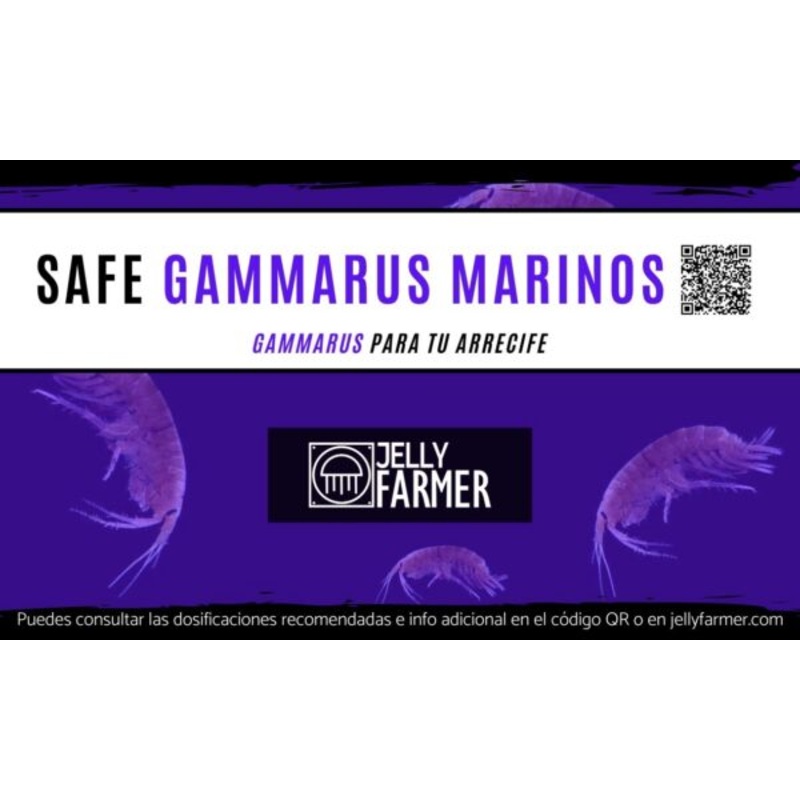 Safe Gammarus