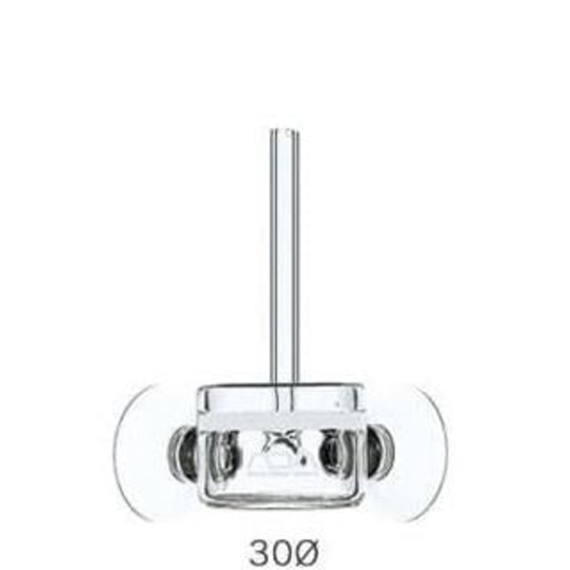 ADA Pollen Glass Beetle (30 for CO2)