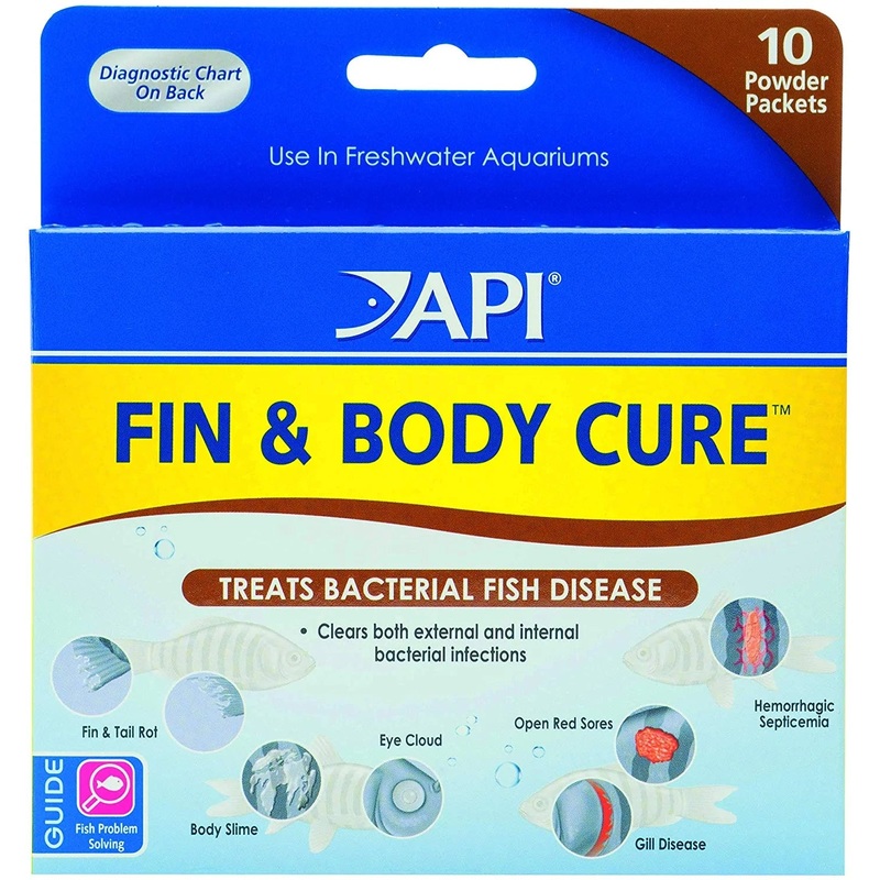 API FIN & BODY CURE