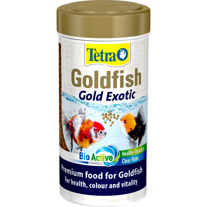 Tetra Goldfish-Gold Exotic