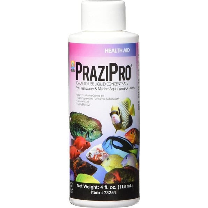 PraziPro Parasite Treatment - Hikari