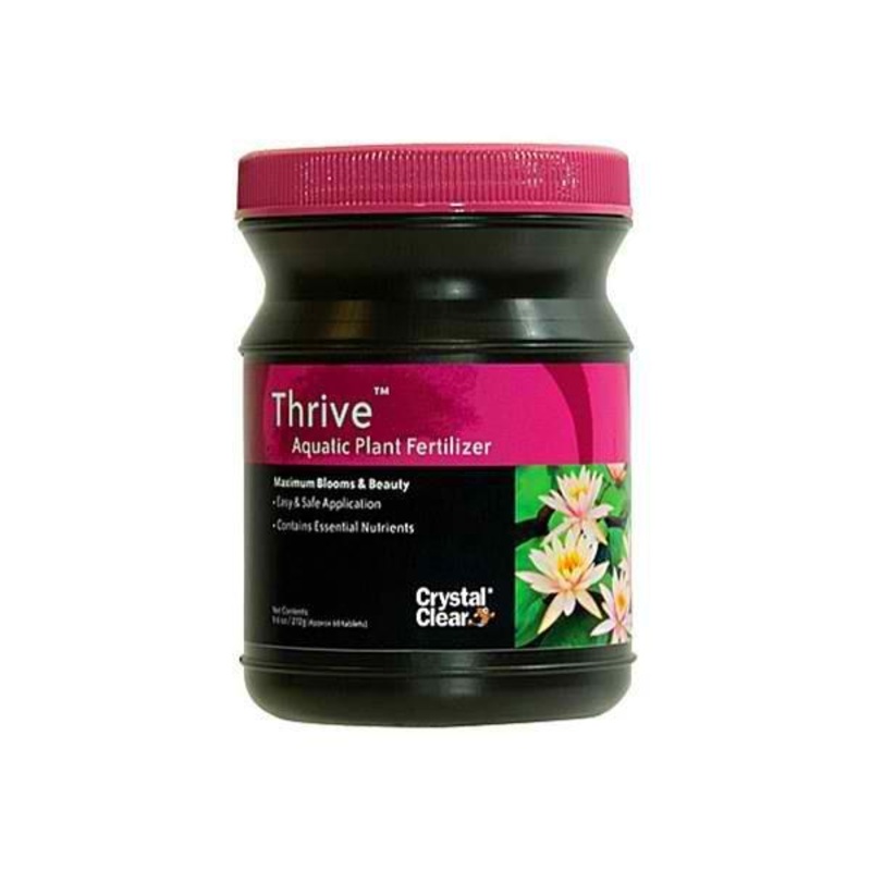 Crystal Clear Thrive
