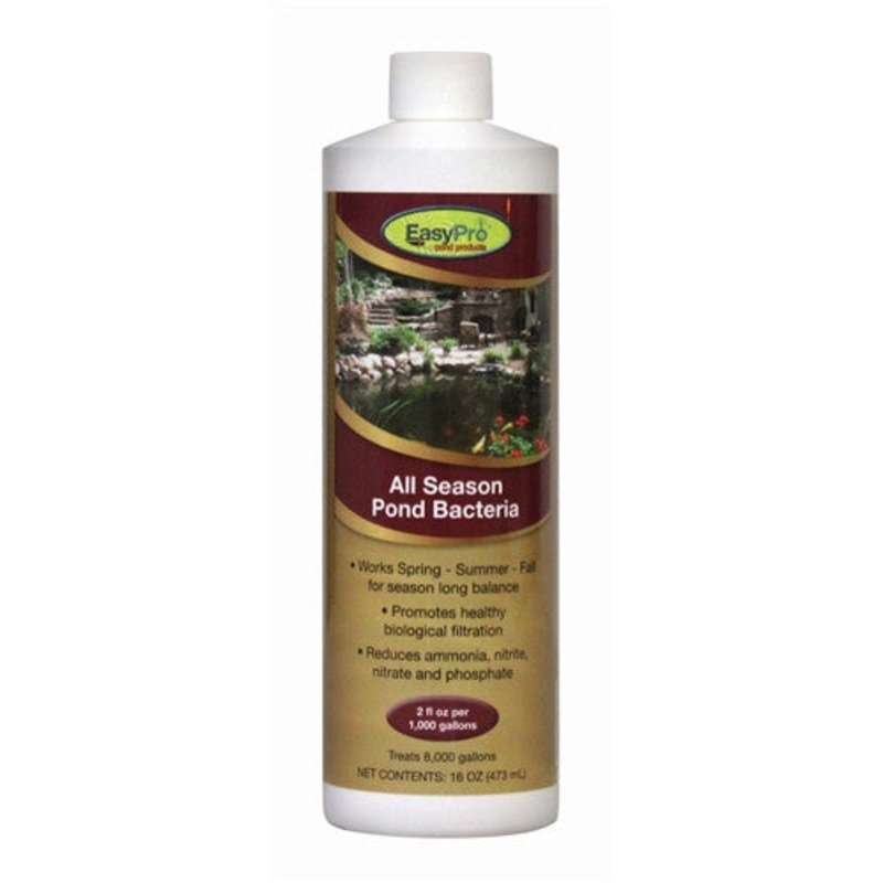 All Season Bacteria, 1 pint