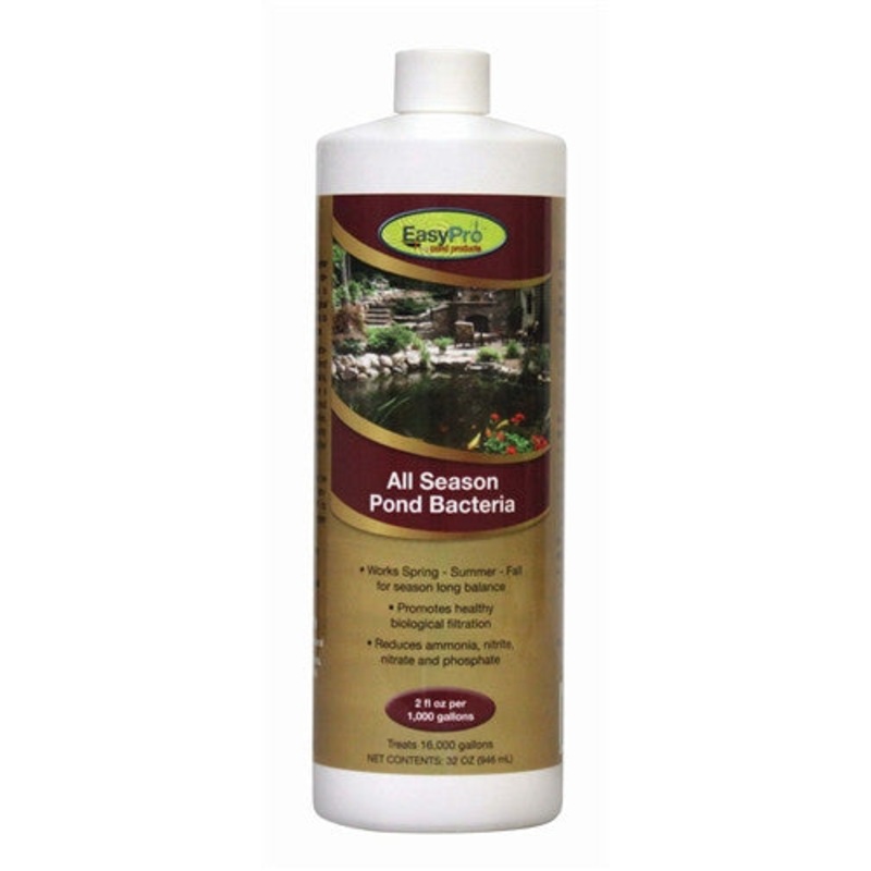 All Season Bacteria, 1 quart