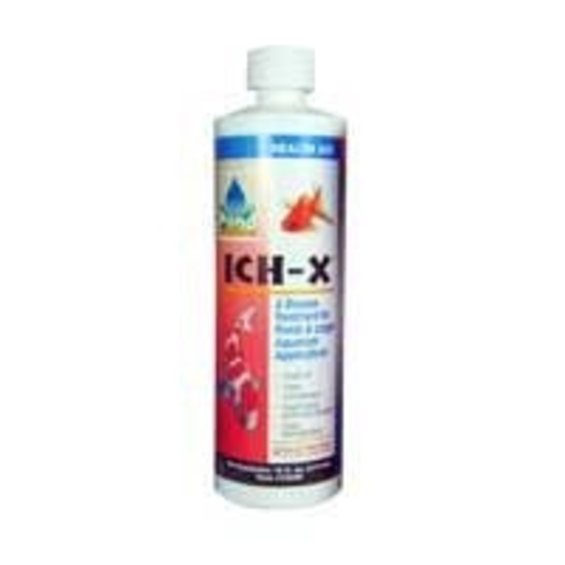 Ich-X, 16 oz
