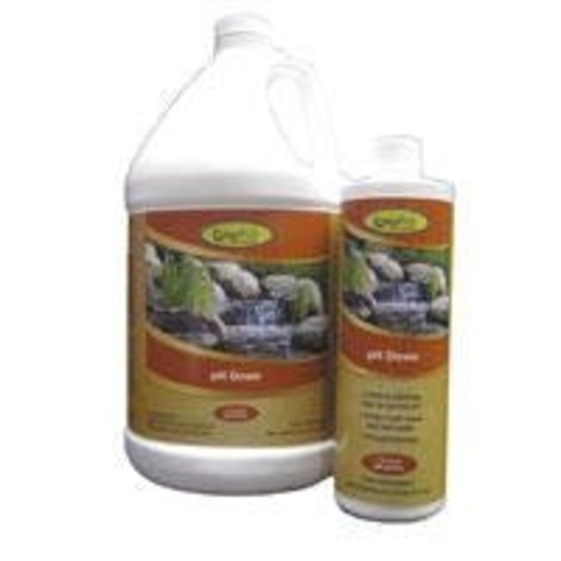 pH Down, 16 oz bottle