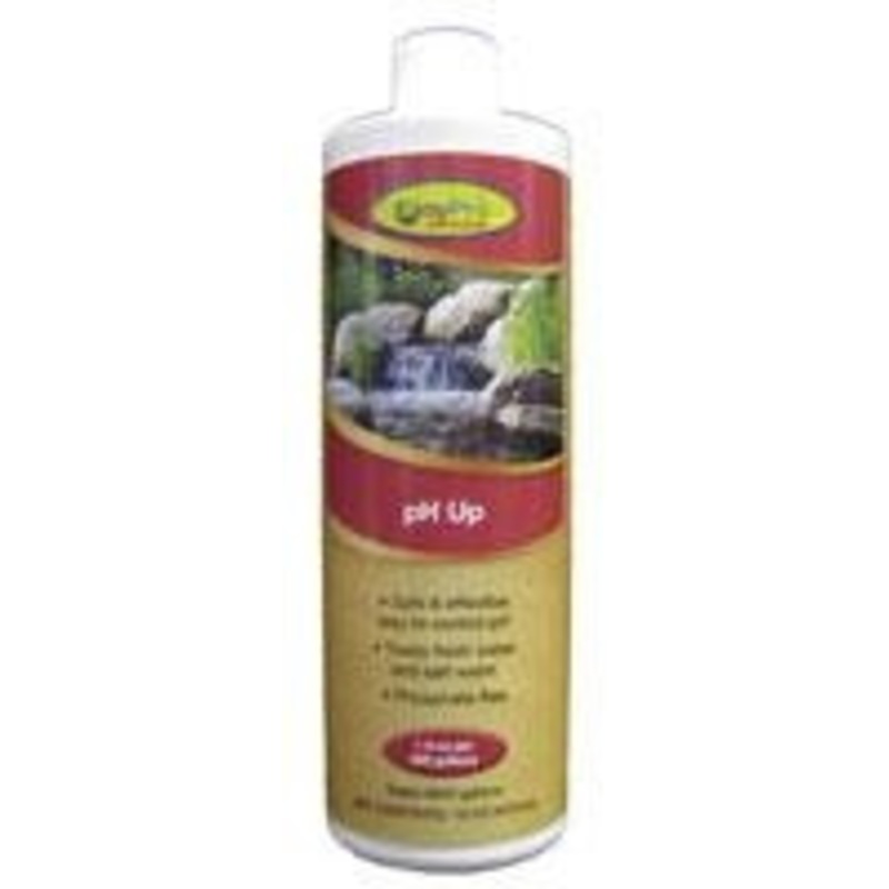 pH Up, 16 oz bottle