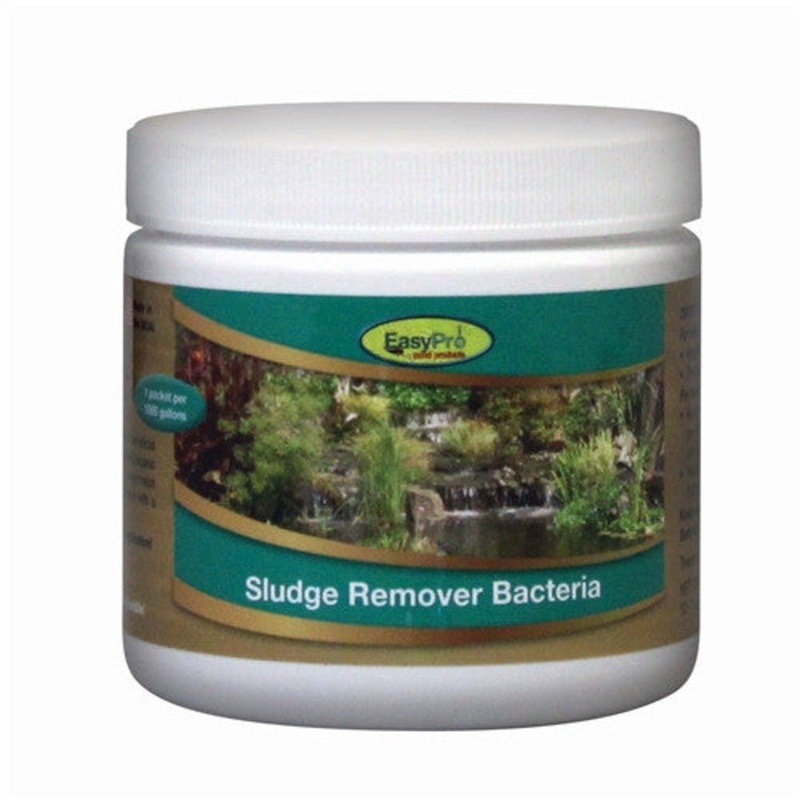 Sludge Remover Bacteria, 12 oz