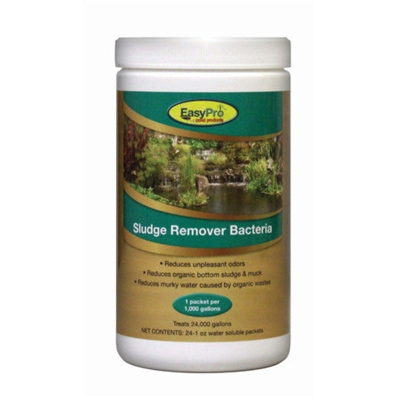 Sludge Remover Bacteria, 24 oz