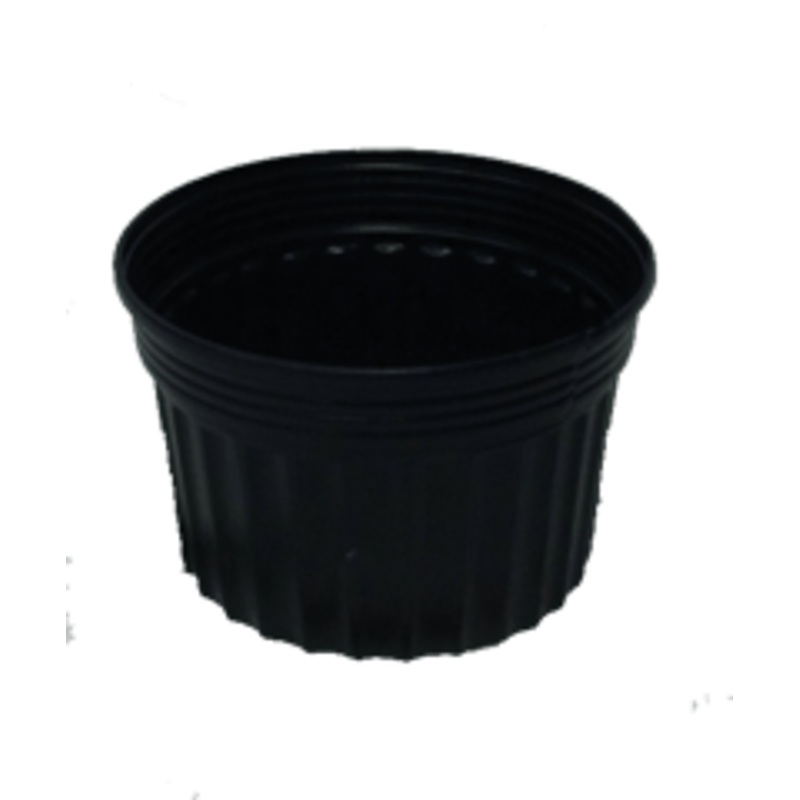 1.65 gallon Small Marginal Container, 9"x6"