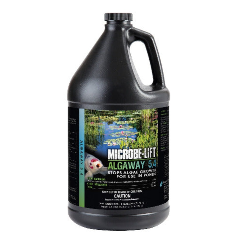 Algaway 5.4, 1 gallon