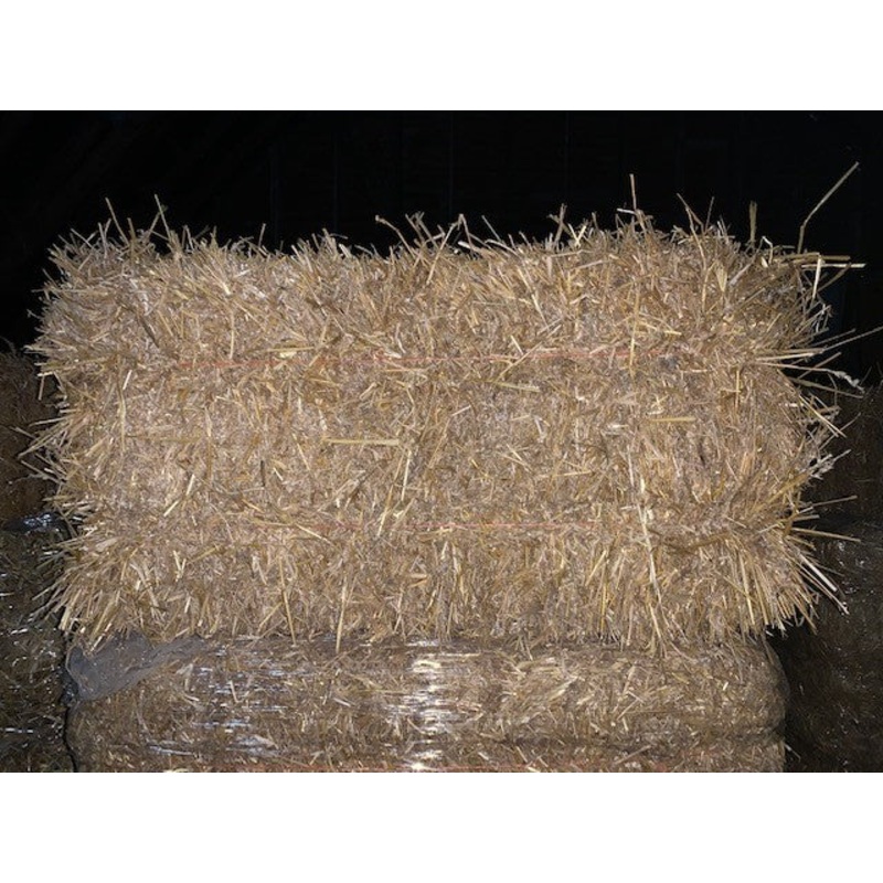 Barley Straw, Bulk Bale (makes about 5 bags)