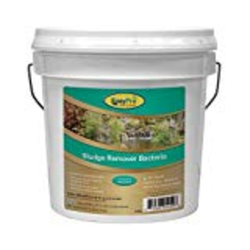 Sludge Remover Bacteria, 10 lb. pail