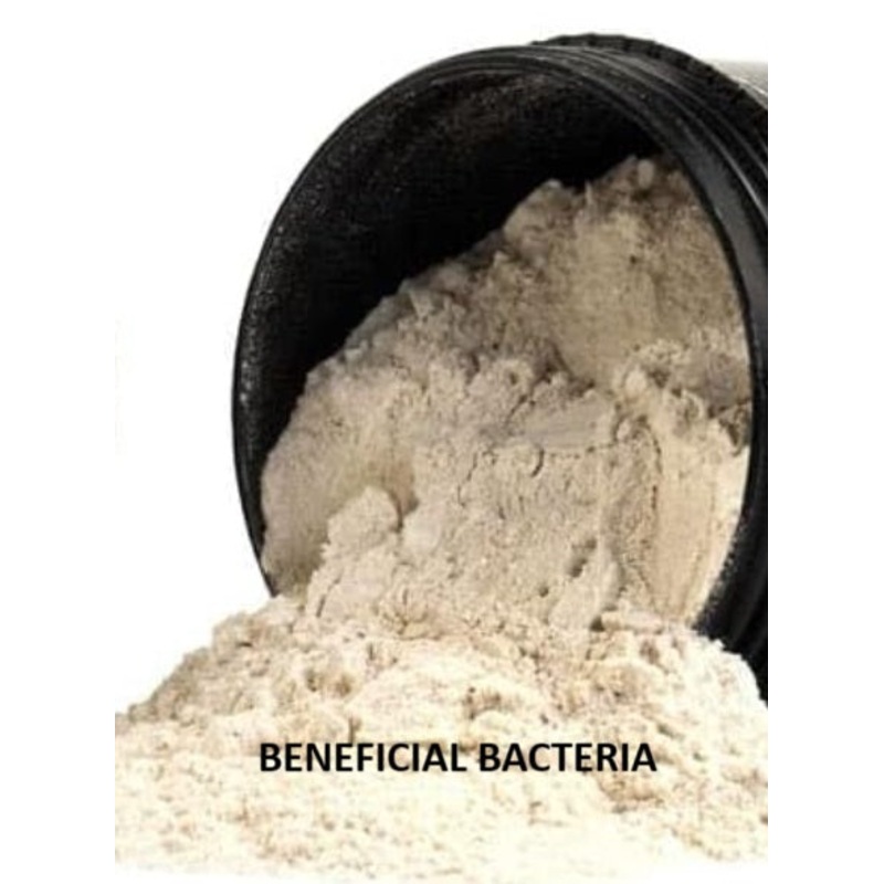 Beneficial Bacteria (Per Scoop)