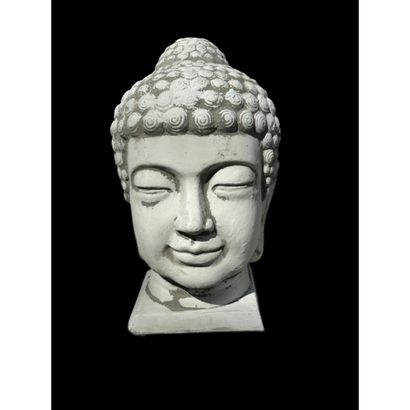 Concrete Budda Head