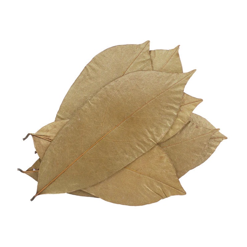 Soursop Leaves