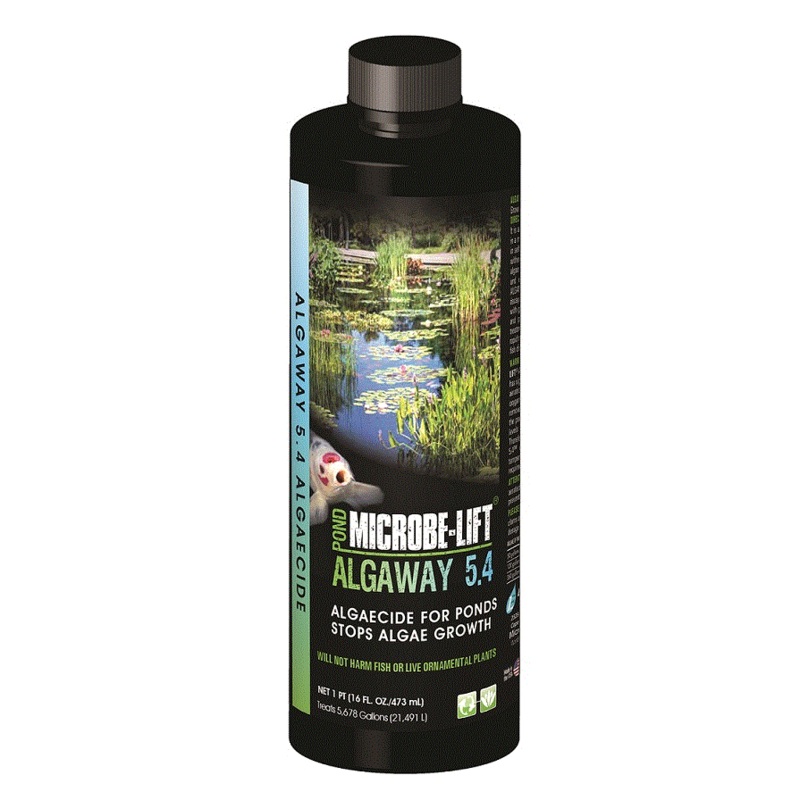 Microbe-Lift Algaway 5.4 - Algaecide for Ponds