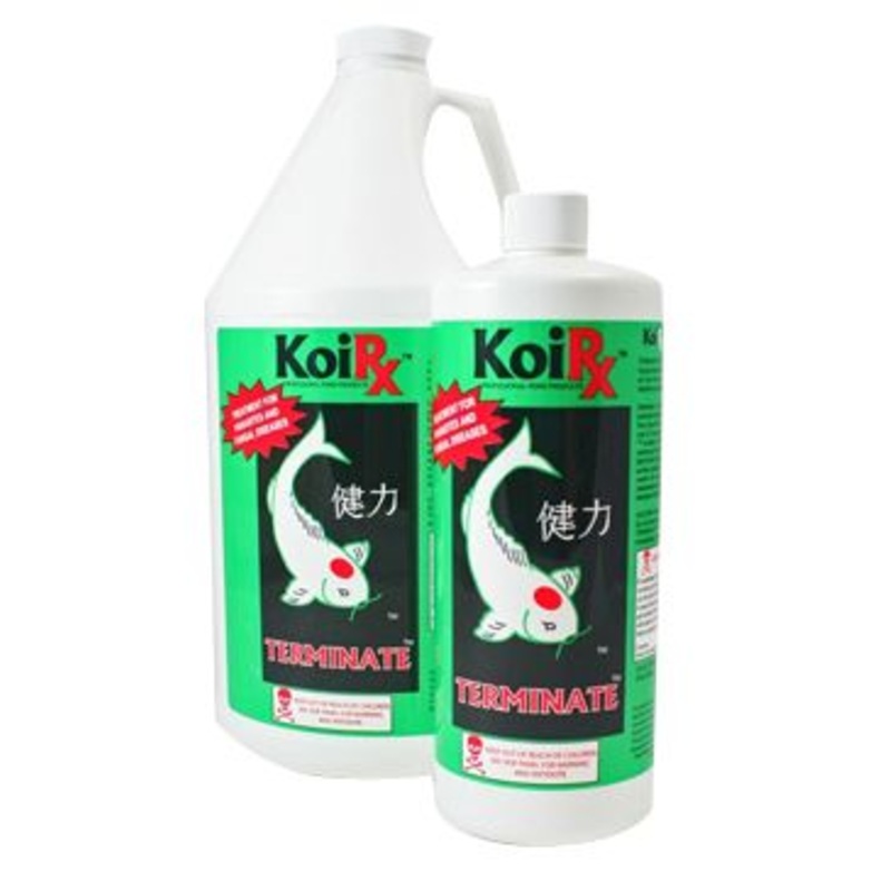 AQUA MEDS KoiRx Terminate Koi Treatment for Pond Parasites