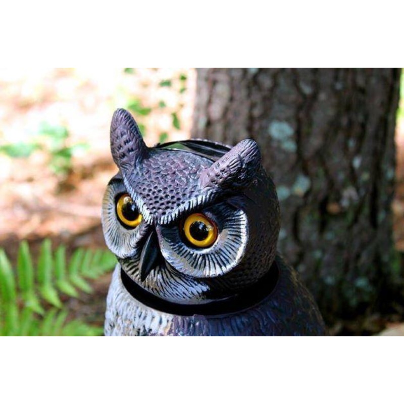 Natural Enemy Scarecrow SOL-R Action Owl