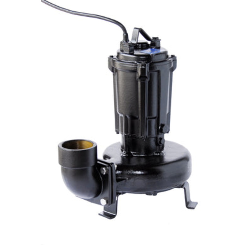 Shinmaywa CNL Series Cast Iron Pumps