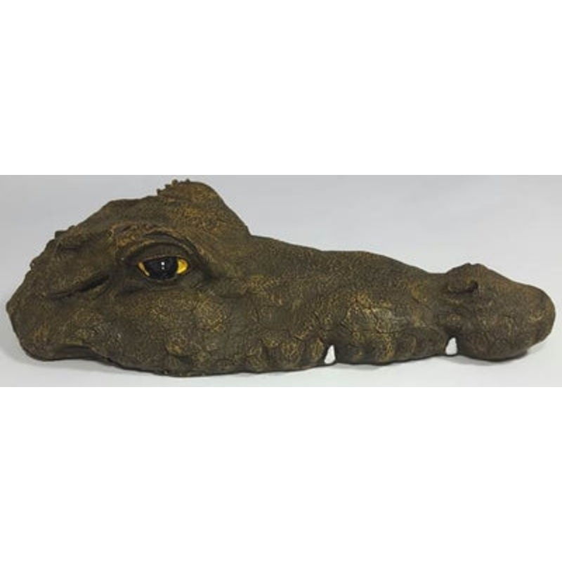 Floating Alligator
