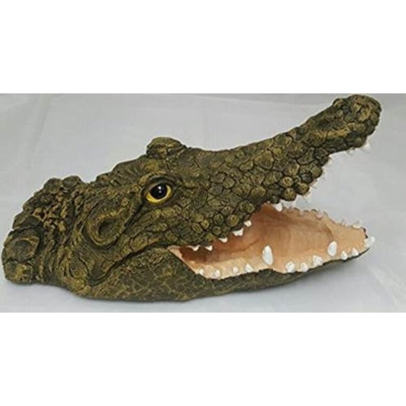 Open Mouth Floating Alligator
