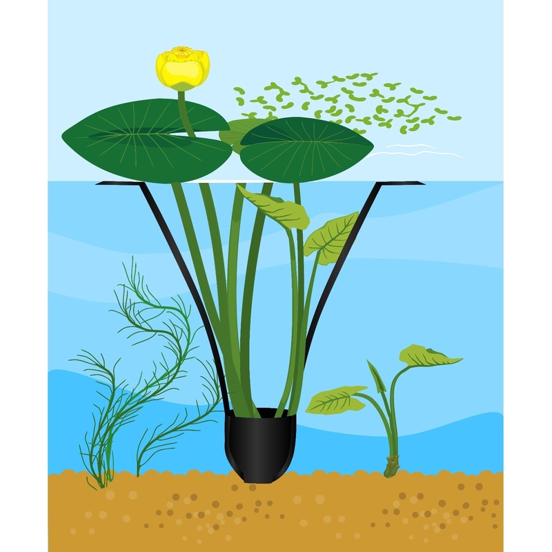 PondSling - Aquatic Pot with 28 Inch Long Floating Handles