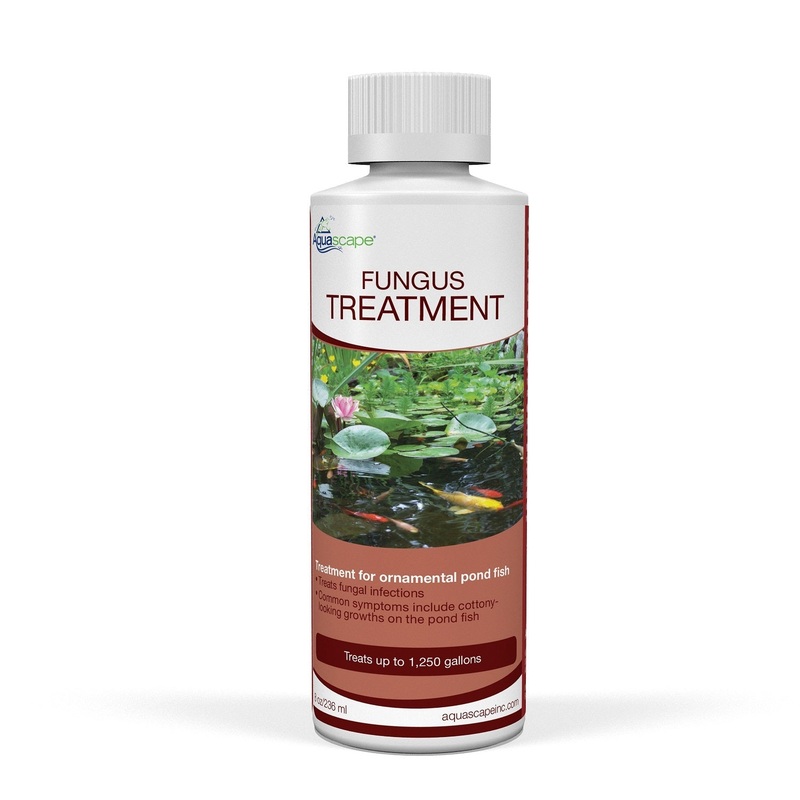 Aquascape Fungus Treatment