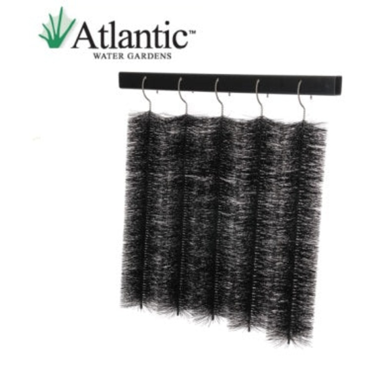Atlantic Skimmer Gate Keeper