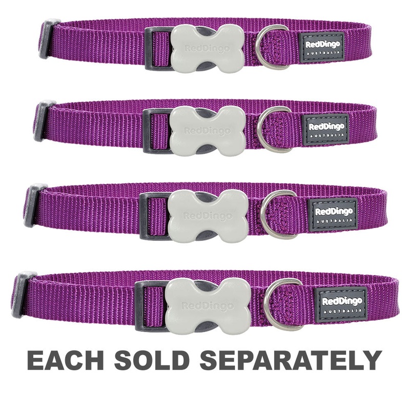 Collier de chien classique (violet)
